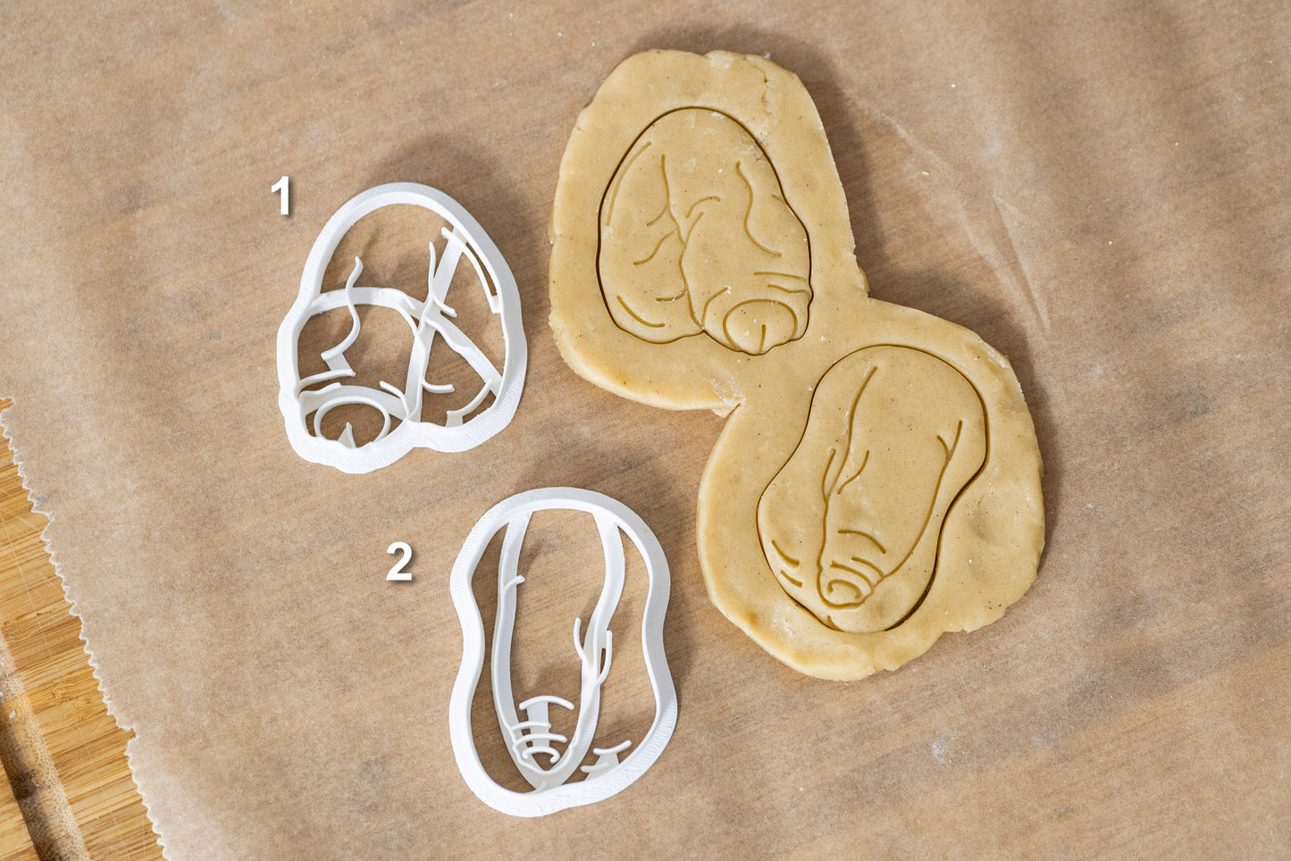 Penis Shaped Cookie Cutters from Germany - 8 Shapes - Biscuit Mold - Fondant Dough - Body Positivity Cookies - Europe - 3D Printed Cutters