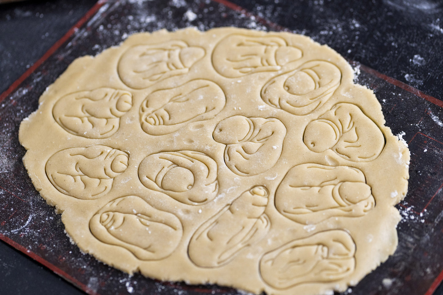 Penis Shaped Cookie Cutters from Germany - 8 Shapes - Biscuit Mold - Fondant Dough - Body Positivity Cookies - Europe - 3D Printed Cutters