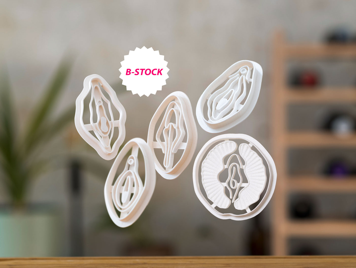 Vulva Cookie Cutters from Germany - Various Shapes - Biscuit Mold - Fondant Dough - Vagina Shaped Cookies - Europe - 3D Printed Cutters