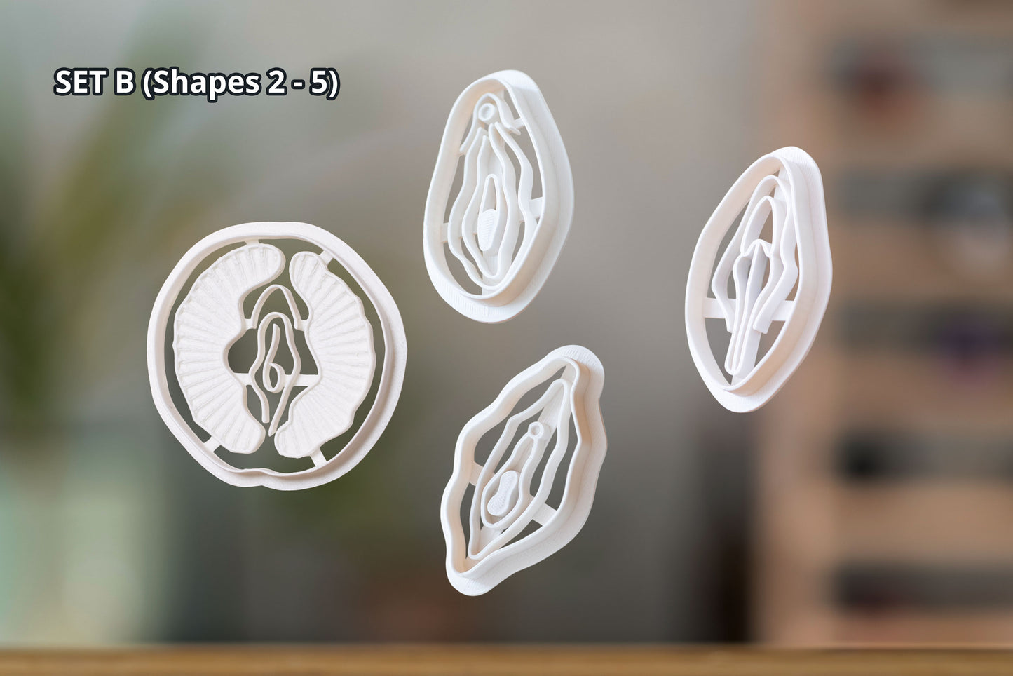 Vulva Cookie Cutters from Germany - Various Shapes - Biscuit Mold - Fondant Dough - Vagina Shaped Cookies - Europe - 3D Printed Cutters