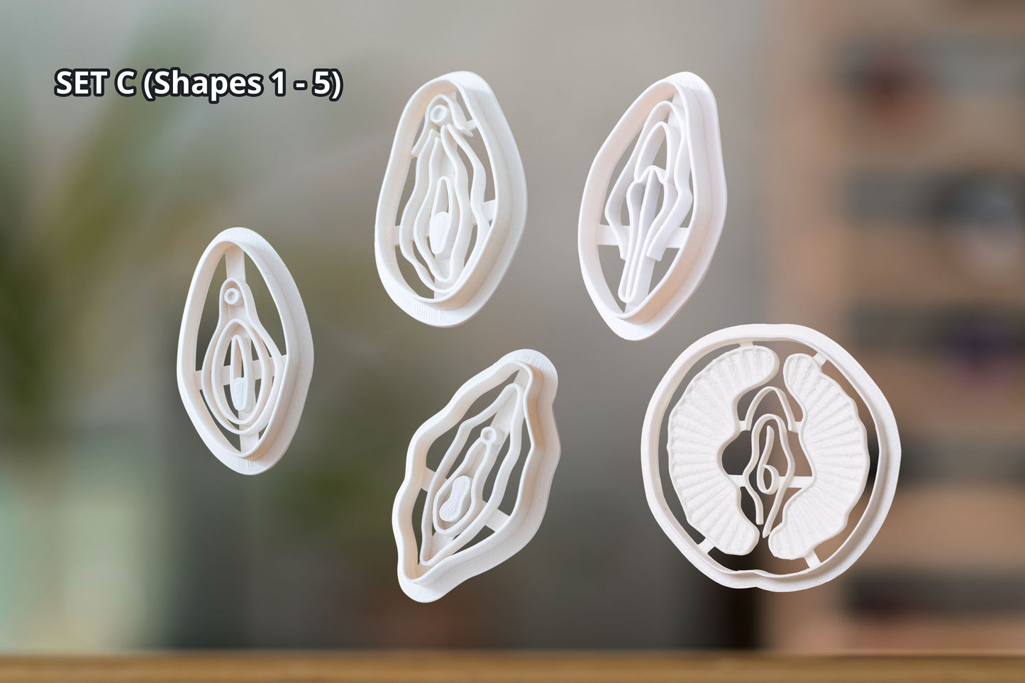 Vulva Cookie Cutters from Germany - Various Shapes - Biscuit Mold - Fondant Dough - Vagina Shaped Cookies - Europe - 3D Printed Cutters